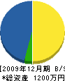 野崎建設 貸借対照表 2009年12月期