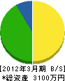 静岡大工建築業（同） 貸借対照表 2012年3月期