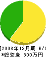 川村塗装店 貸借対照表 2008年12月期