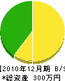 川村塗装店 貸借対照表 2010年12月期