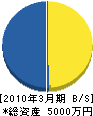 藤井組 貸借対照表 2010年3月期