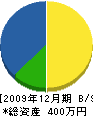 丸甲商会 貸借対照表 2009年12月期
