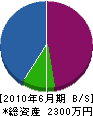 奈川設備 貸借対照表 2010年6月期