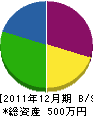 坪田塗装 貸借対照表 2011年12月期