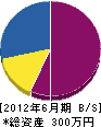 龍ケ崎塗装 貸借対照表 2012年6月期