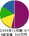 川端塗装店 貸借対照表 2009年12月期
