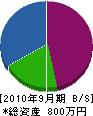 山カ田中畳製販 貸借対照表 2010年9月期