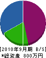 山カ田中畳製販 貸借対照表 2010年9月期 山カ田中畳製販 貸借対照表 2010年9月期