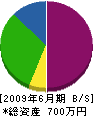 井川建設 貸借対照表 2009年6月期