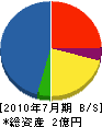 江成建設 貸借対照表 2010年7月期
