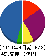 中村シラトリ 貸借対照表 2010年9月期