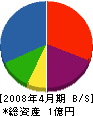 大森建設 貸借対照表 2008年4月期