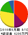 南国電機設備工事 貸借対照表 2010年6月期