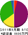 ケイシイエイ 貸借対照表 2011年8月期