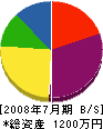 松村工業 貸借対照表 2008年7月期