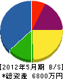 トキワ美研 貸借対照表 2012年5月期