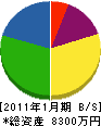 伊藤組 貸借対照表 2011年1月期