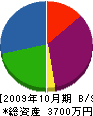 二葉園 貸借対照表 2009年10月期