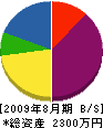 小島石材 貸借対照表 2009年8月期