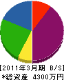 小林設計工務 貸借対照表 2011年3月期