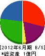 岡村組 貸借対照表 2012年6月期