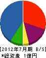 琉和 貸借対照表 2012年7月期