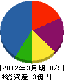 日吉電機 貸借対照表 2012年3月期