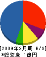 杉本電業 貸借対照表 2009年3月期