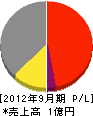 藤井電気商会新浜店 損益計算書 2012年9月期