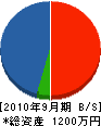 岡田電器産業 貸借対照表 2010年9月期