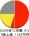 池田塗装店 損益計算書 2009年12月期