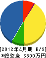 ヤマオカ電機 貸借対照表 2012年4月期