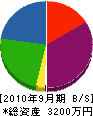 戸田工業 貸借対照表 2010年9月期