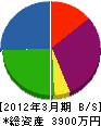 松竹塗装 貸借対照表 2012年3月期