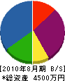 愛伸ポンプ商会 貸借対照表 2010年8月期
