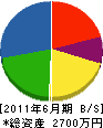 龍征ボーリング工業 貸借対照表 2011年6月期