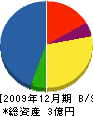 雲仙建設 貸借対照表 2009年12月期