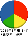川＊産業 貸借対照表 2010年3月期