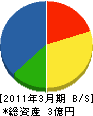 時枝工業 貸借対照表 2011年3月期