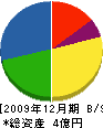 ロイヤル・グリーン・メンテナンス 貸借対照表 2009年12月期