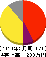 大井川電工 損益計算書 2010年5月期