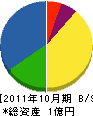東洋電子工業 貸借対照表 2011年10月期