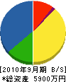 坂本造園 貸借対照表 2010年9月期