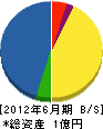 梅田組 貸借対照表 2012年6月期