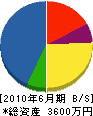 山栄電気工事 貸借対照表 2010年6月期