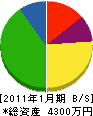 田川 貸借対照表 2011年1月期