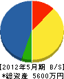 武藤建設 貸借対照表 2012年5月期