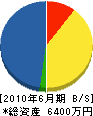 志井総合建設 貸借対照表 2010年6月期 志井総合建設 貸借対照表 2010年6月期
