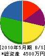 村田電気商会 貸借対照表 2010年5月期
