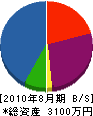 八代ネオン電工 貸借対照表 2010年8月期